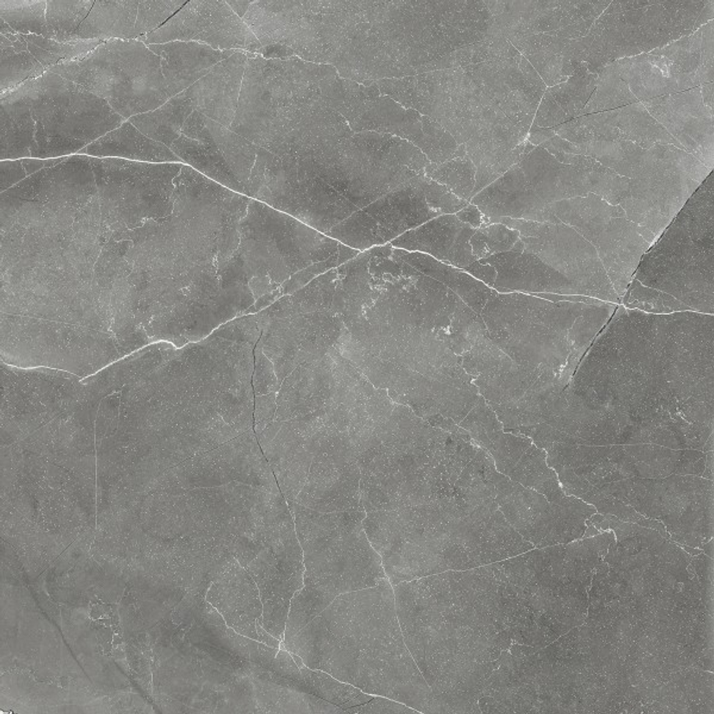 PULPIS NERO CR6011-A