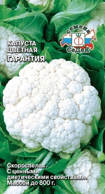 капуста Гарантия