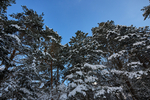 Объектив Sigma 15mm f/1.4 DC Contemporary Sony E