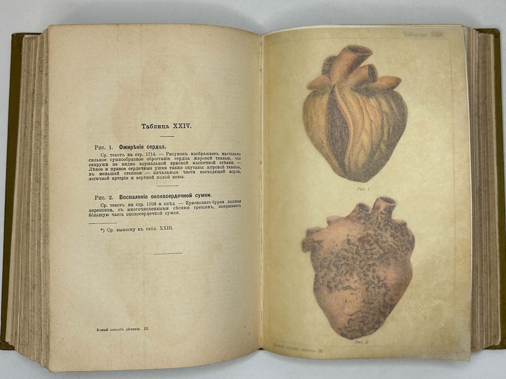 Платен М. Новый способ лечения. Лечение целебными силами природы. — Берлин: Изд. Просвещение, 1901