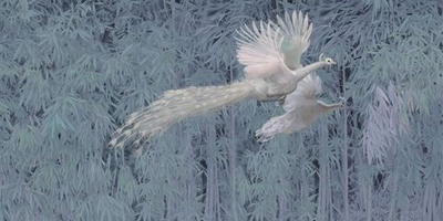 Фреска Applico, коллекция Natura