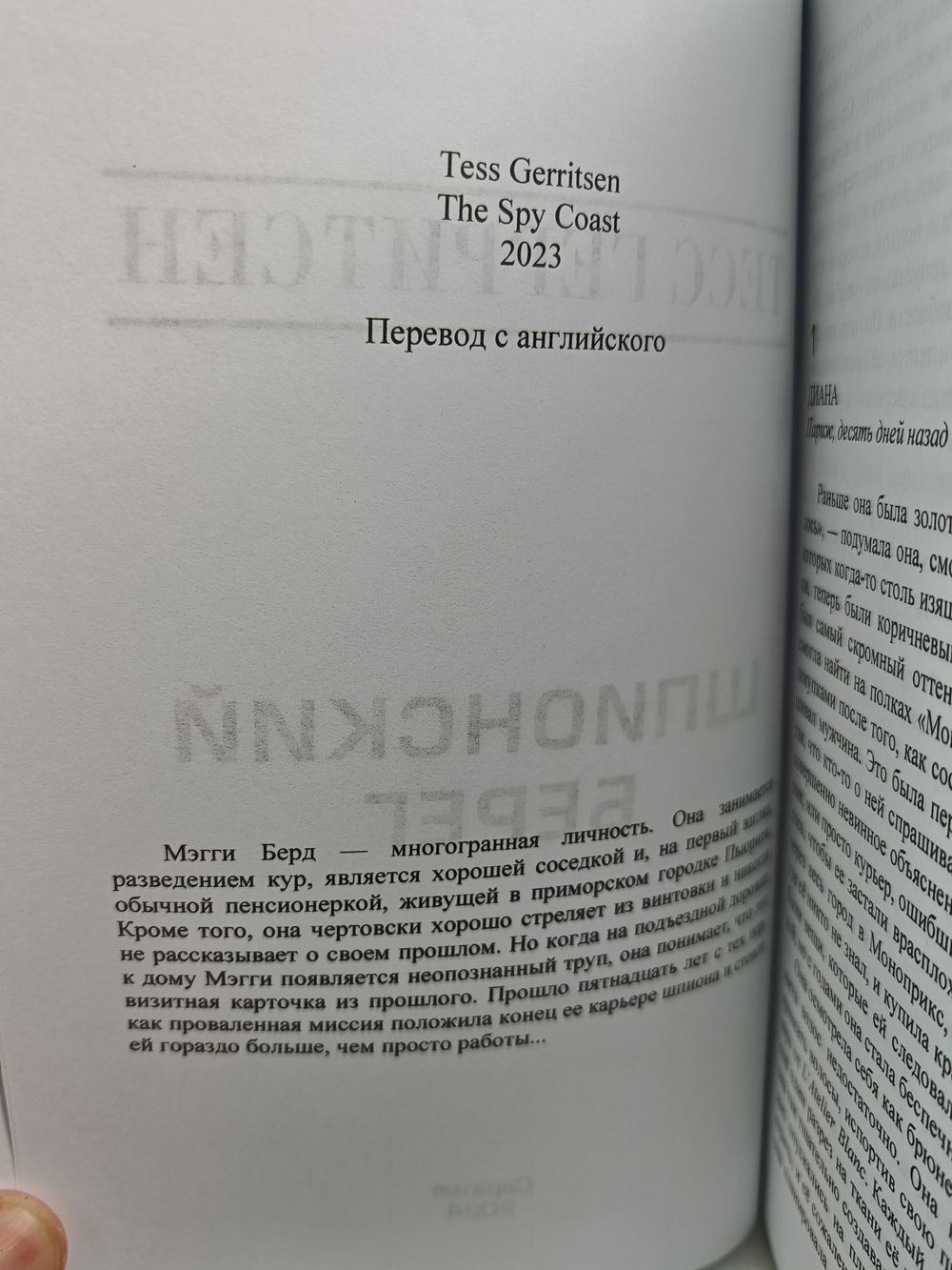 Герритсен Т. Прислушайся ко мне. Шпионский берег (комплект из 2-х книг)