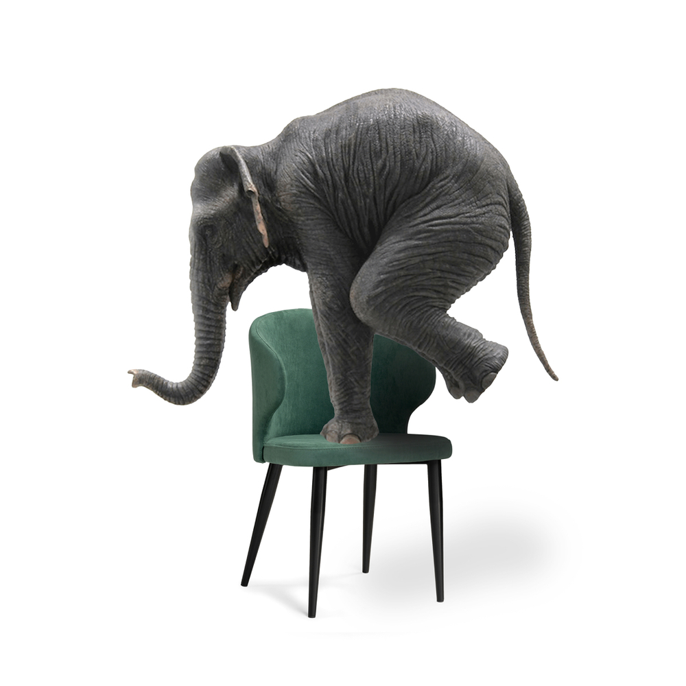 Стул на металлокаркасе Woodville Алсисар катания изумруд, черный, ножки черные