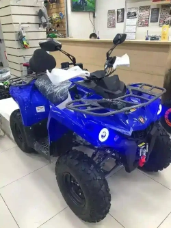 Квадроцикл MOTAX Grizlik 200 Ultra