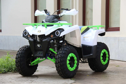Квадроцикл IRIDE 200 ROVER
