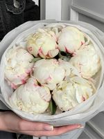 Букет 7шт белых пионов