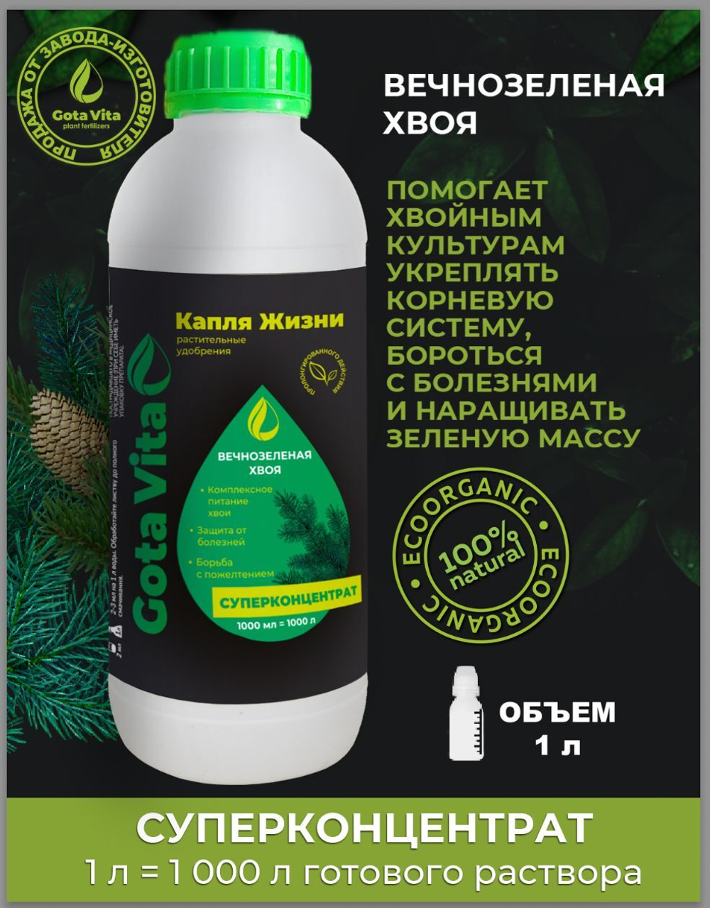 Вечнозеленая хвоя