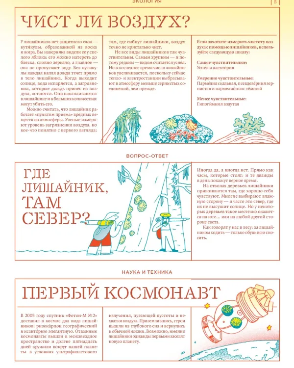 Мико. Полный путеводитель по миру грибов