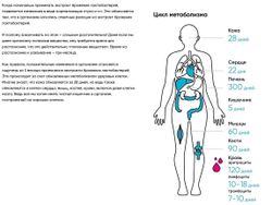 DIAGO Метабиотик Daigo (упаковка: 30 саше по 10 мл)