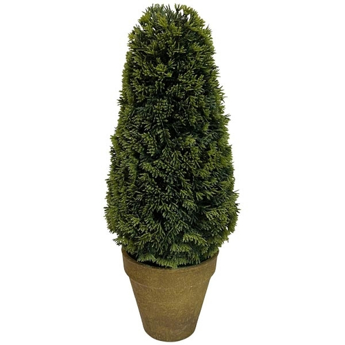 Туя в кашпо 15x15x36см