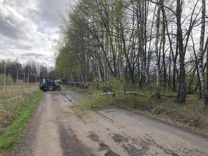 Уборка упавших деревьев