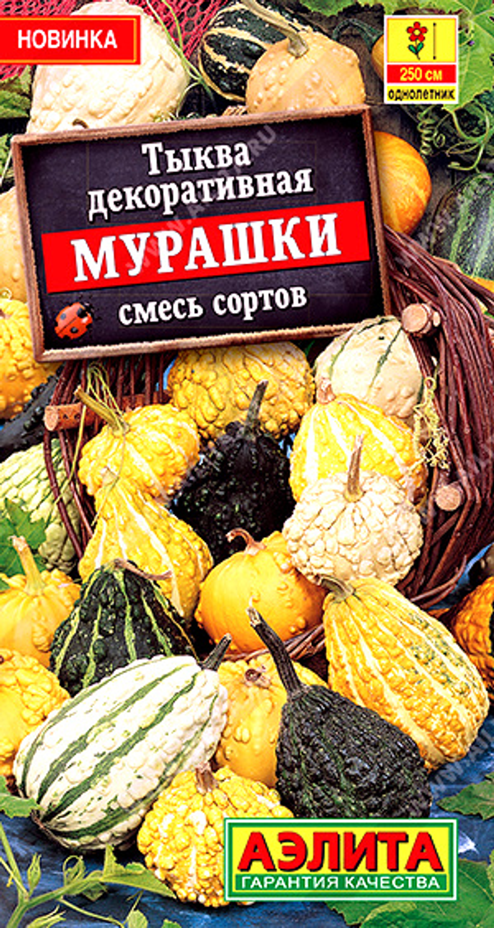 Тыква декоративная Мурашки, смесь сортов