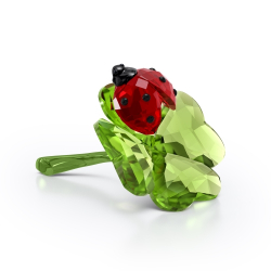 IDYLLIA:LADY BUG AND CLOVER