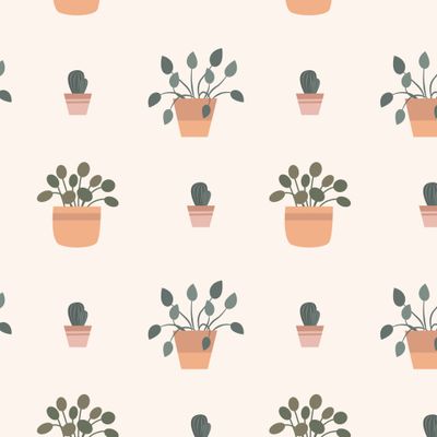 Комнатные растения. House plants, potted plants.