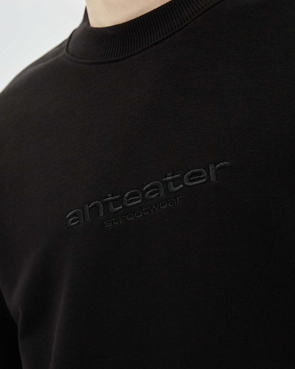 Толстовка Anteater Crewneck Textlogo Black