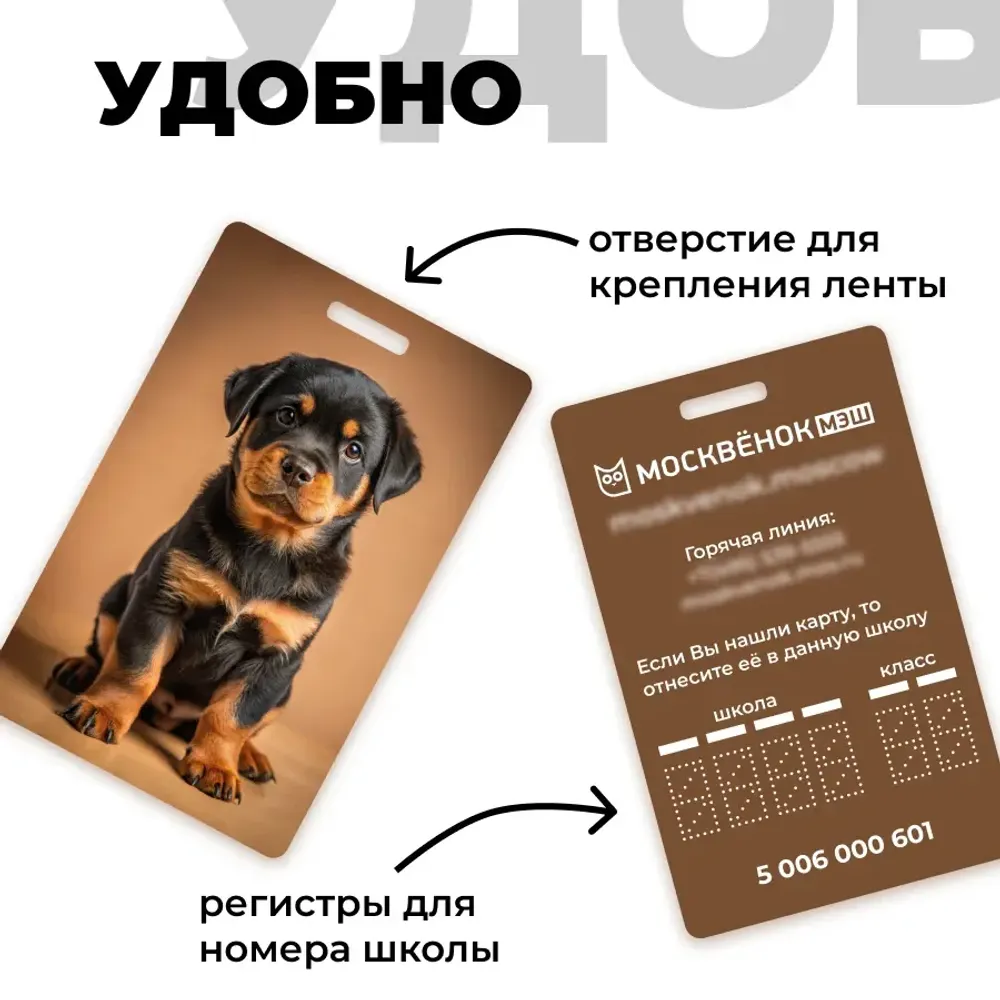 Карта Москвёнок DOGS №13 (проход + питание)