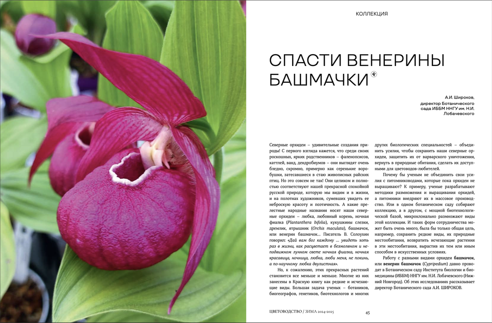 Цветоводство ЗИМА 2024/25