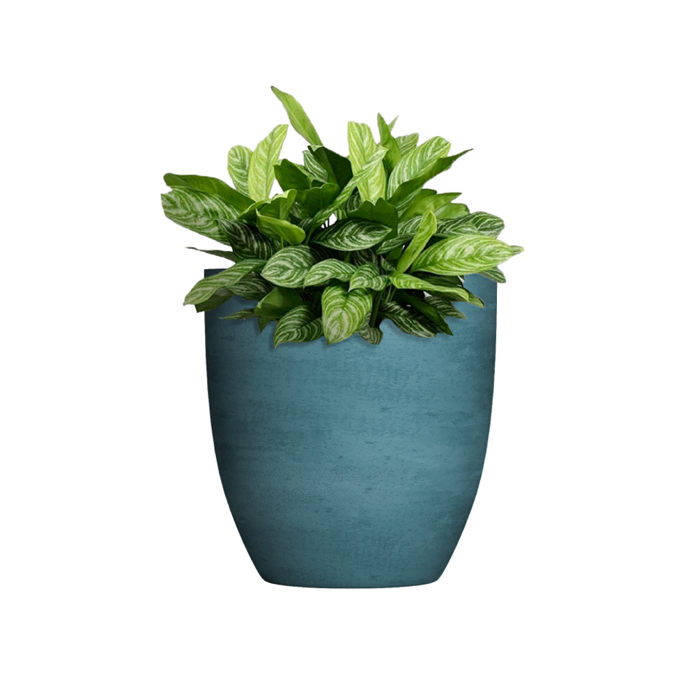 Кашпо, коллекция Color, форма VASE3