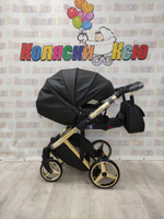Коляска модульная Adamex Chantal Star Collection Star 102