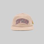  Кепка Ripndip Summer Friends 6 Panel Corduroy Snapback артикул:RND10131 - купить в магазине Дайс