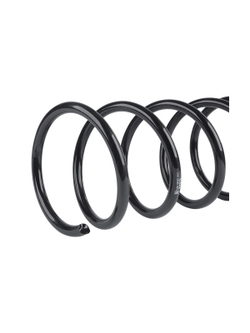 Пружина передняя L=R для MITSUBISHI Lancer IX 2.0 (03-08) GANZ GIK02660