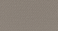 Жаккард Чаплин (Chaplin) 03