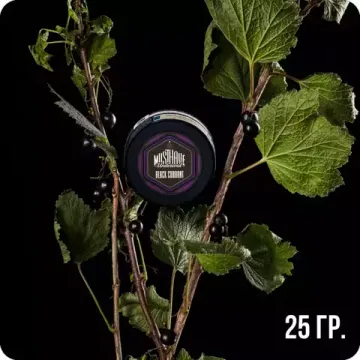 Must Have (Black Currant), 25 гр.