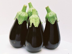 БЛЕК ПЕРЛ F1 семена баклажана (Enza Zaden | Alexagro)