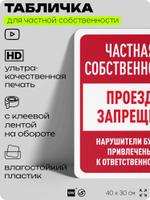 Табличка для частной территории "Частная собственность, проход запрещен", на дом, для участка, организаций, предупреждающая, 40х30 см, Silver Plane x Айдентика Технолоджи