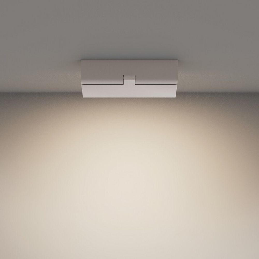 Накладной светильник Maytoni Basis Rot C133CL-12W4K-W