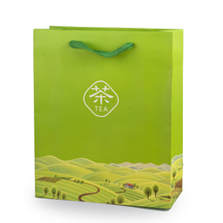 150012 Пакет подарочный с ручками, h=26см, l=22см, картон зеленый