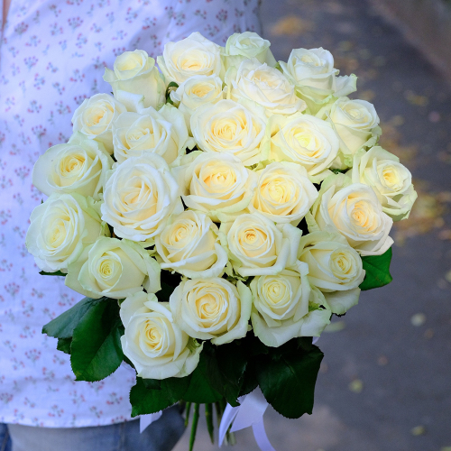Купить Букет 25 белых роз Avalanche