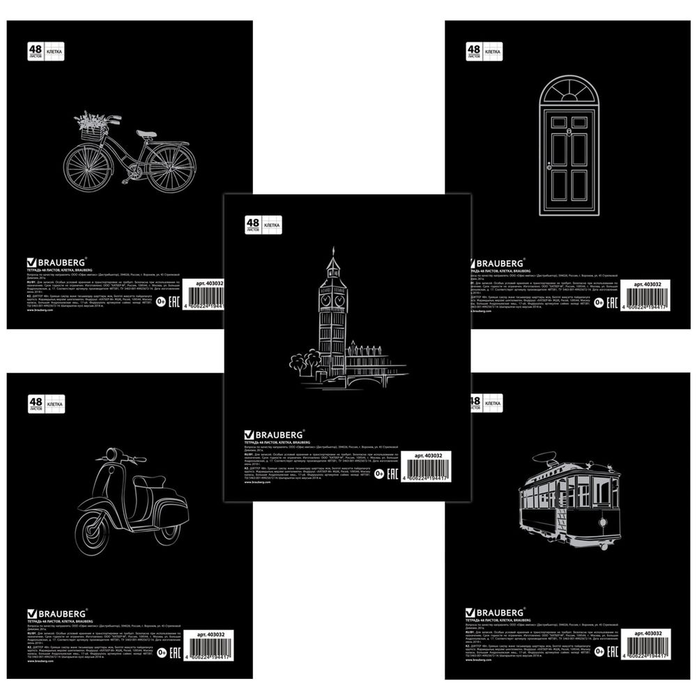 Тетрадь А5, 48 л., BRAUBERG, клетка, обложка картон, АКЦЕНТ, 403032, 5шт