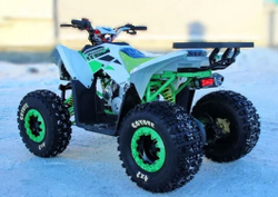 Квадроцикл MOTOLAND 125 Coyote (2021 Г.)