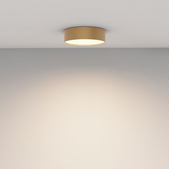 Потолочный светильник Technical C032CL-24W3K-RD-MG