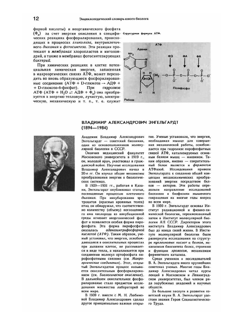 Энциклопедический словарь юного биолога | Нет автора
