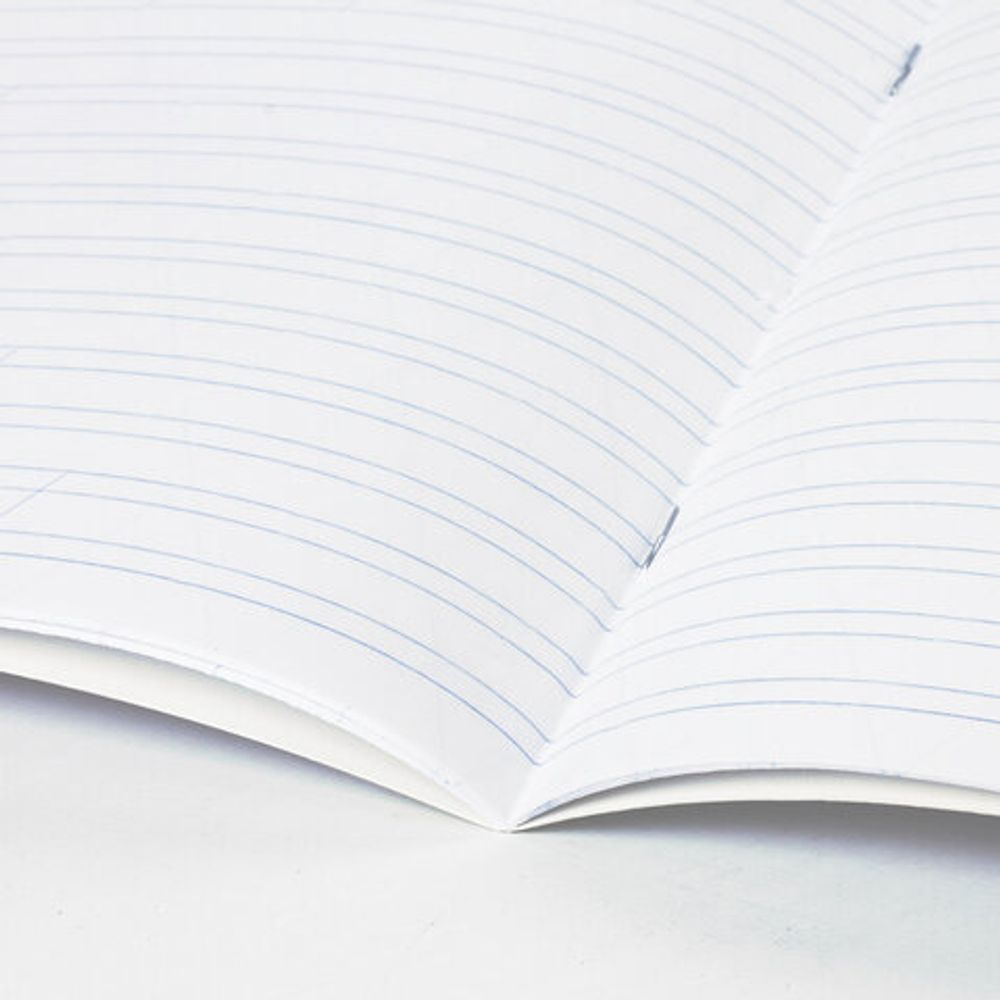 Тетрадь 12 л. BRAUBERG КЛАССИКА NEW узкая линия, обложка картон, ЗЕЛЕНАЯ, 105692, 20шт