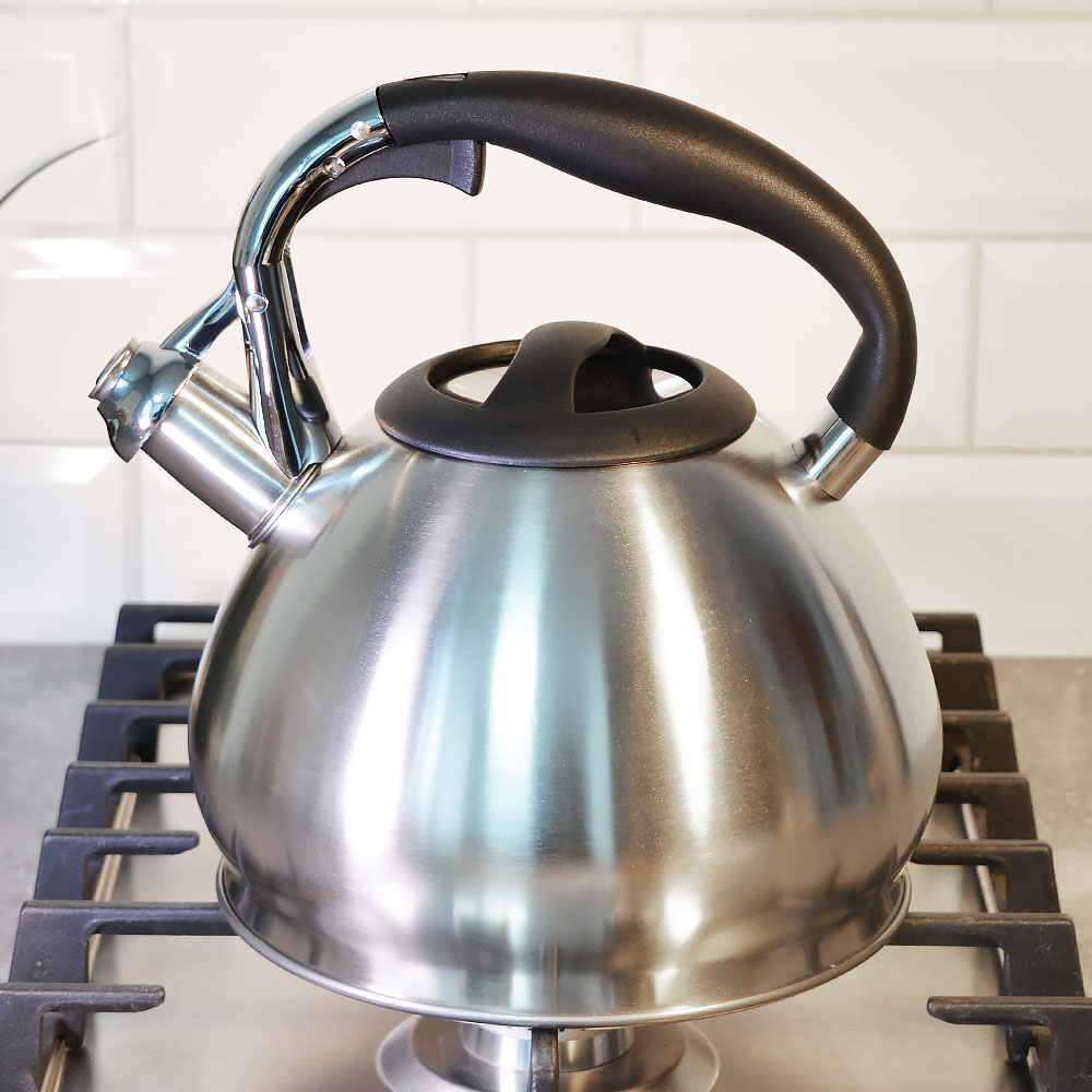 Чайник 3л нерж со свистком, матовый, ручка бакелитовая, "Daniks" GS-04511