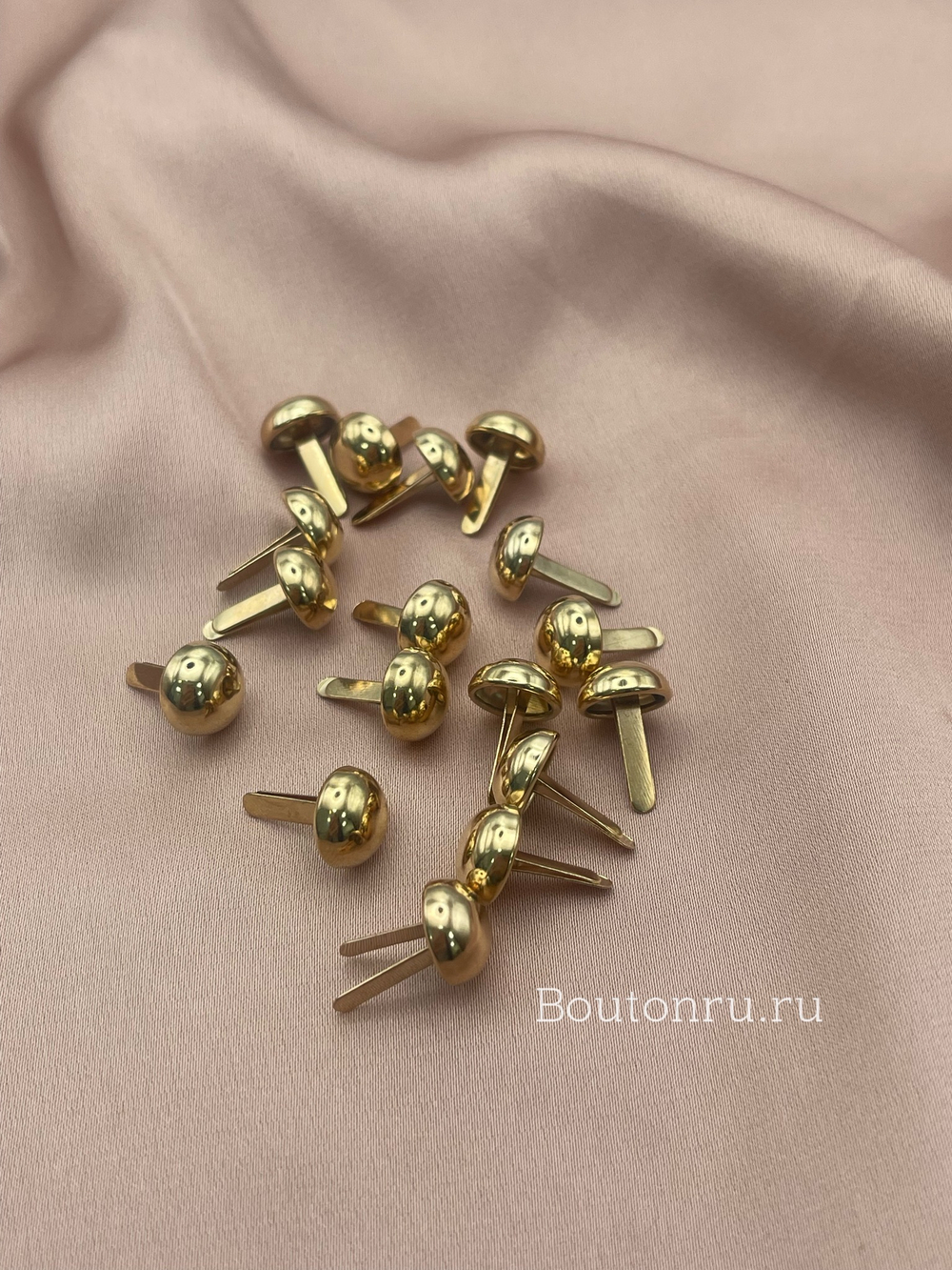 Брадсы золотистые