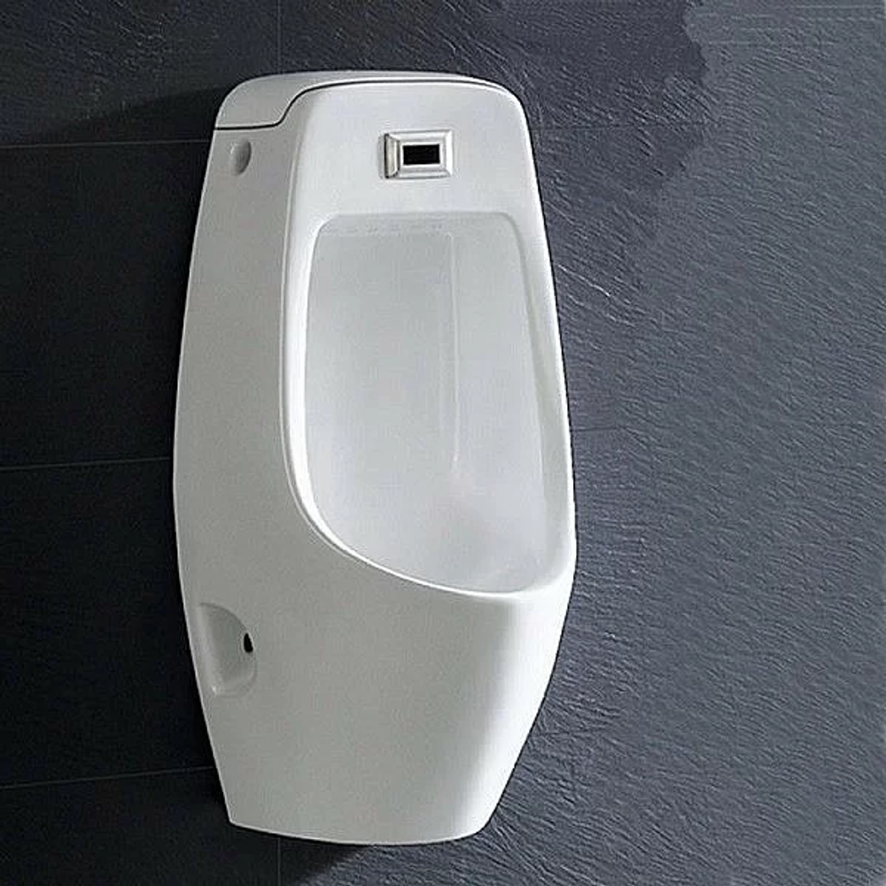 Писсуар Ceramalux Х546P