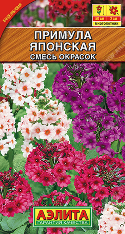 Примула японская, смесь окрасок