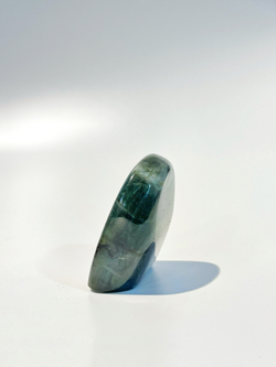 Срез Лабрадора S