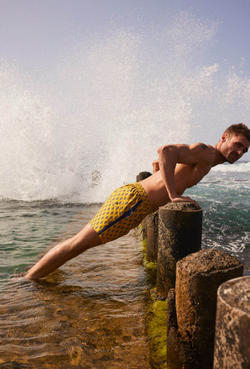 Гидрошорты 90176 Ysabel Mora