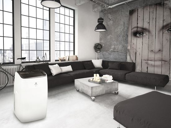 Мобильный кондиционер cерии LARGO PRO RM-LP50CN-E