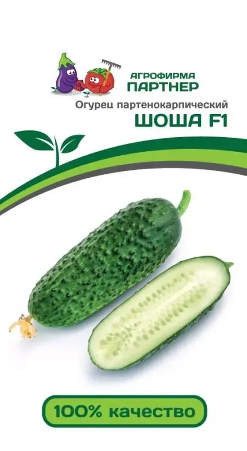 Огурец Шоша