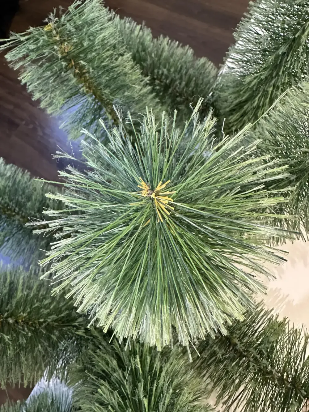 Ветка на крючке - хвоя леска