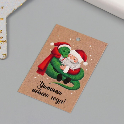 Бирка новогодняя "Дедушка Мороз и змейка" (4х6 см)