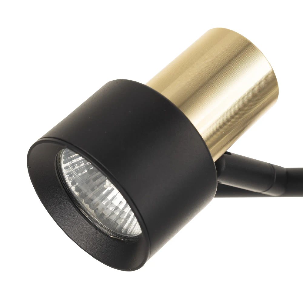 Citilux SAT CL505631 Спот поворотный с выключателем Чёрный+Золото