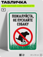 Табличка для частной территории "Пожалуйста, не пускайте собаку", на дом, для участка, организаций и частных территорий, предупреждающая, 40х30 см, Silver Plane x Айдентика Технолоджи