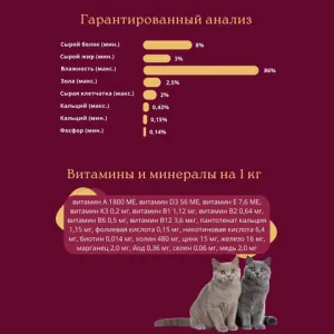 Пауч для стерилизованных кошек GRANPLUS CAT STERILIZED лосось и цыпленок